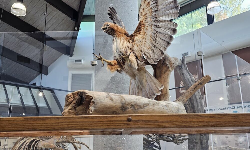 Clark Park Interpretive Center