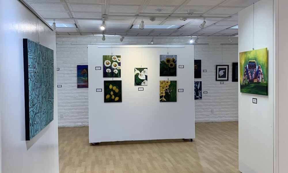 Mary Paxon Art Gallery